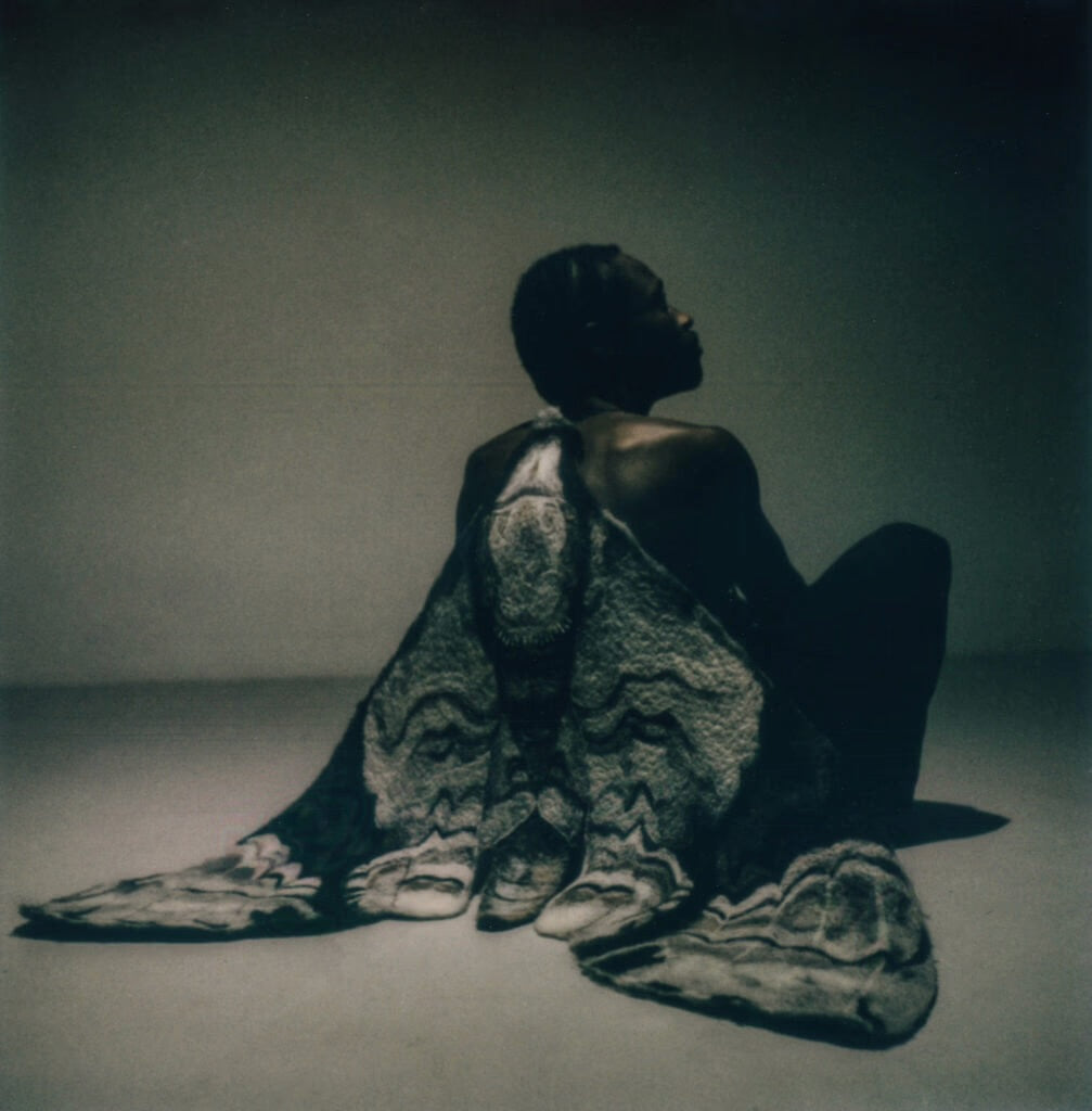 Nazilya Nagimova : l'artiste qui métamorphose la fragilité des papillons