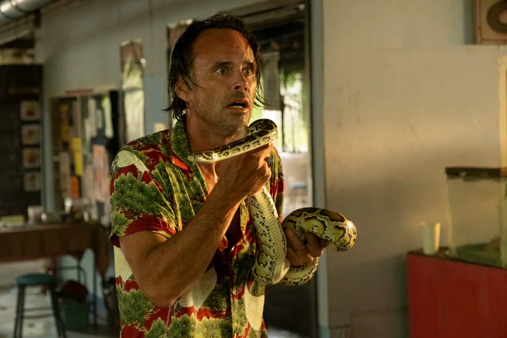 La saison 4 de "The White Lotus" nous emmène en France, direction Saint-Tropez